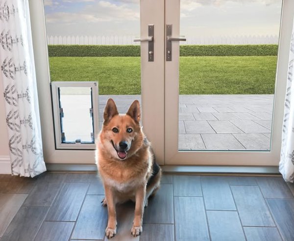 Benefits of Adding a Pet Door to Your Patio Door at Home