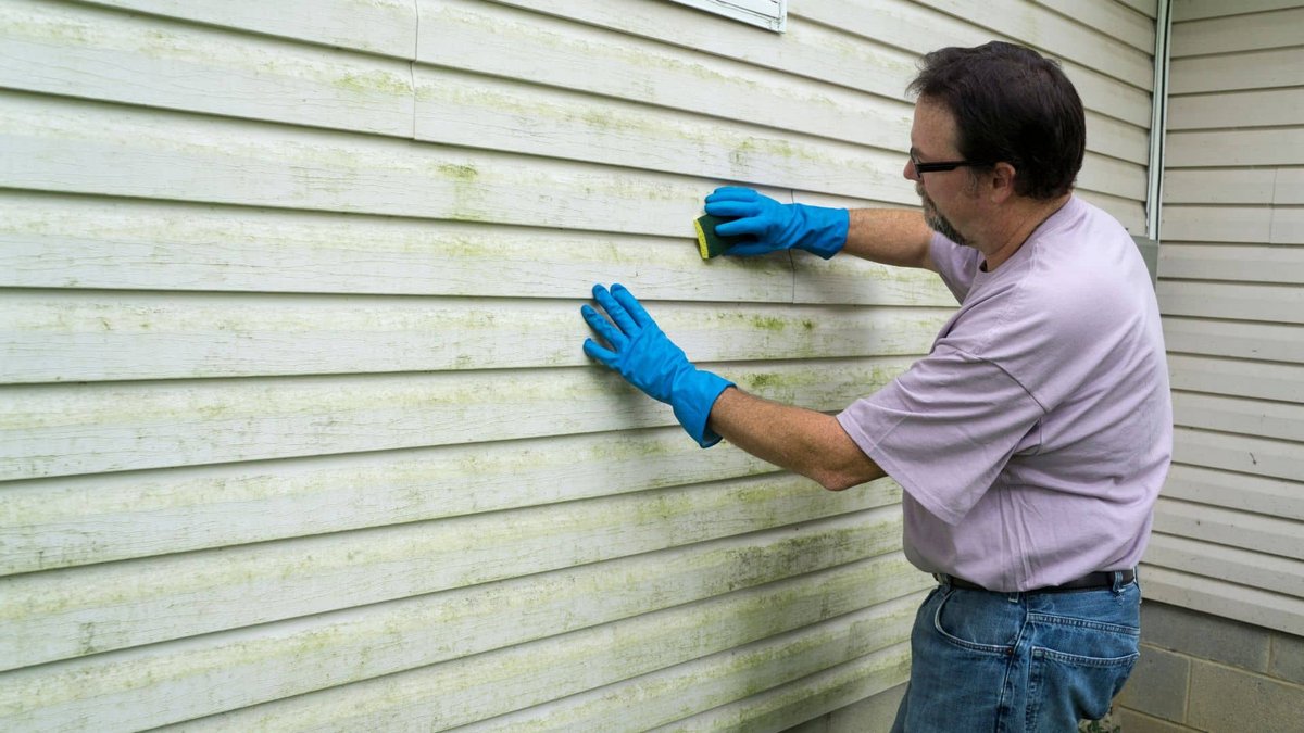 Early Warning Signs of Siding Damage | Windows & Siding Reno — Renovations INC